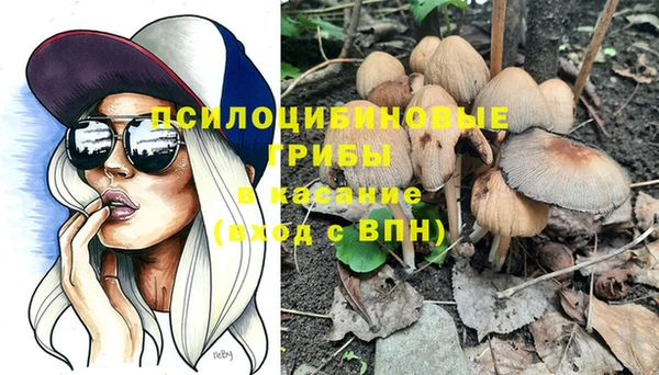 мдпв Покровск