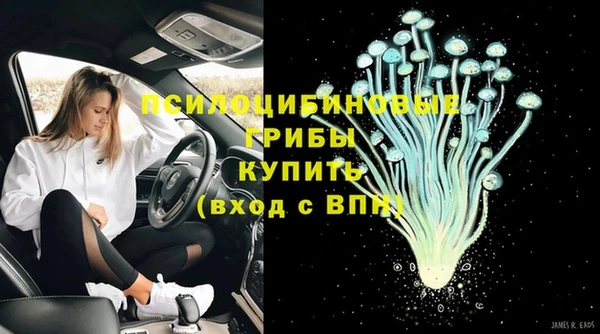 мдпв Покровск