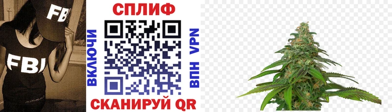Каннабис Bruce Banner  где найти   Новое Девяткино 